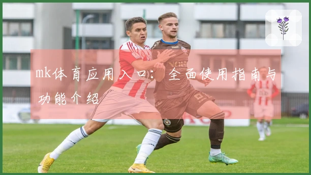 mk体育应用入口：全面使用指南与功能介绍