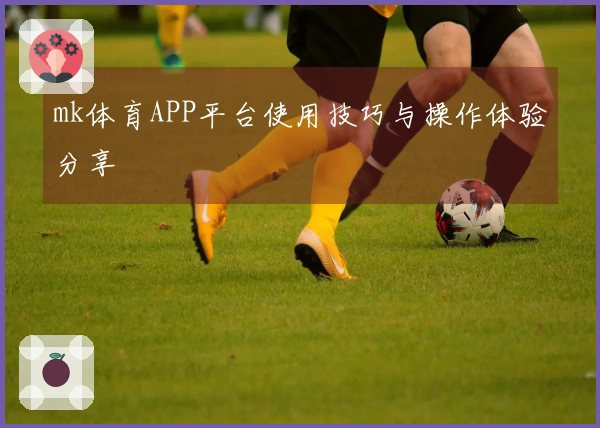 mk体育APP平台使用技巧与操作体验分享