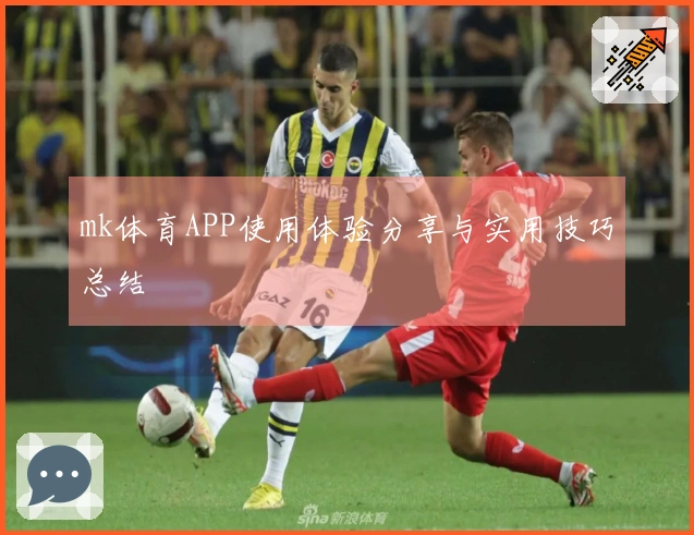 mk体育APP使用体验分享与实用技巧总结