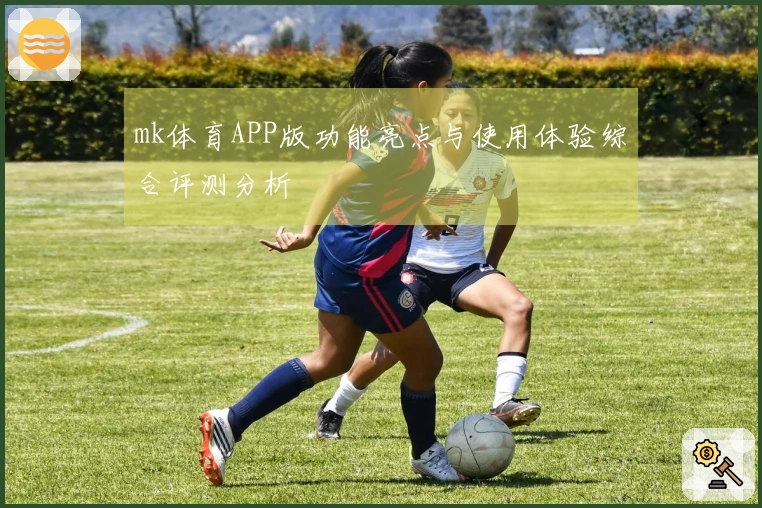mk体育APP版功能亮点与使用体验综合评测分析